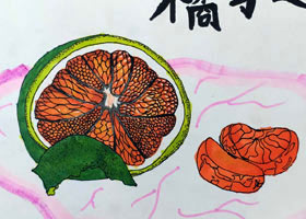 桔子写生-主题绘画班-2021年10月10日◆秋季班◆新起点画苑-学生作品