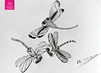 蜻蜓的画法-新起点画苑
