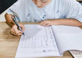 Ӳ鷨D-2025927ա＾㻭Է-ѧƷ