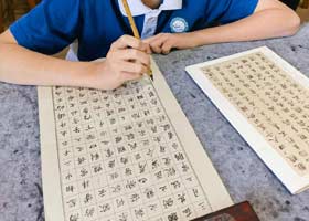 鷨-20251123ա＾㻭Է-ѧƷ