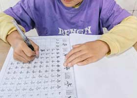 Ӳ鷨A-20251122ա＾㻭Է-ѧƷ