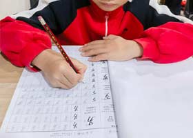 Ӳ鷨B-20251129ա＾㻭Է-ѧƷ