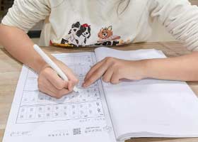 Ӳ鷨D-20251129ա＾㻭Է-ѧƷ